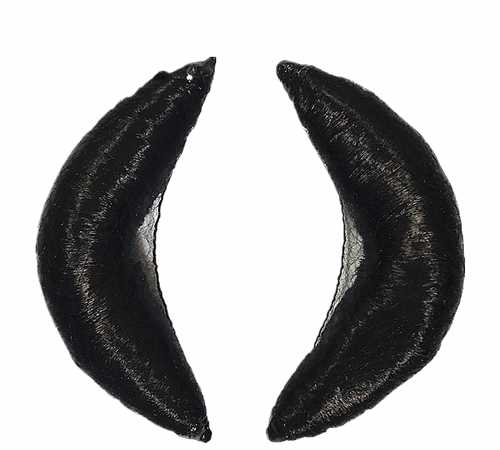 新鮮的牛角如何讓它軟化壓平呢