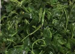 柳樹芽怎么吃,柳樹芽怎么做好吃,長期吃可以嗎?圖13