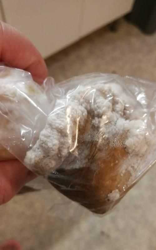 如何辨別杏鮑菇壞沒(méi)壞