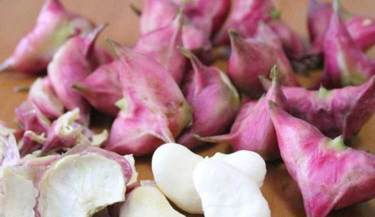 菱角可以直接生吃嗎