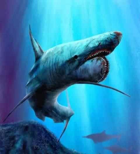 有海中霸王之稱的是什么動物