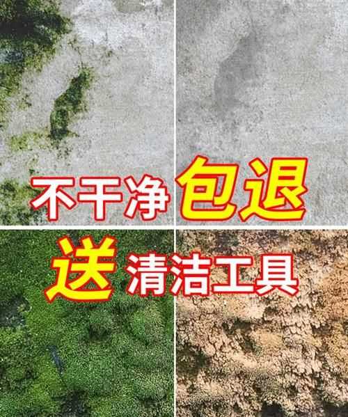 水泥地板長青苔怎么清洗