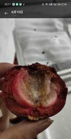 山竹中間有透明是糖心嗎