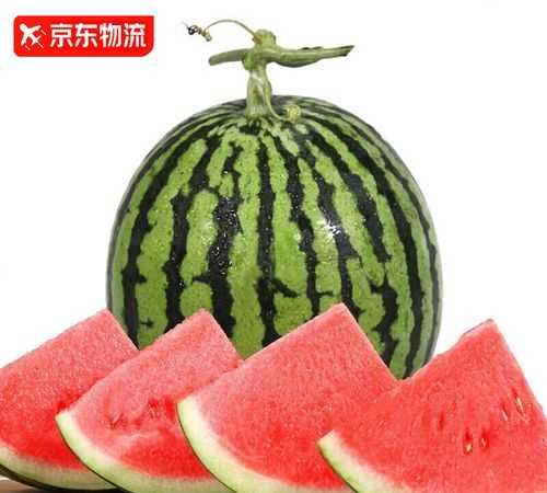 整個(gè)西瓜儲(chǔ)存方法和時(shí)間