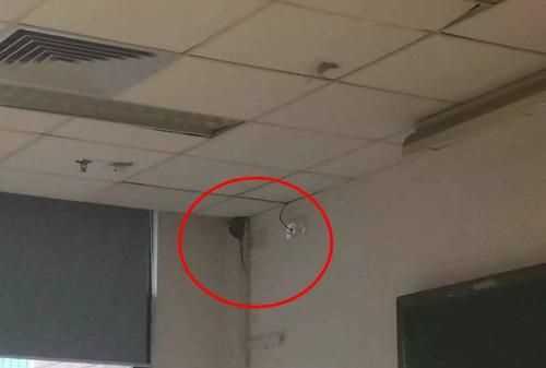 我的單位辦公室和宿舍棚上，里面有老鼠怎么辦，求助各位了