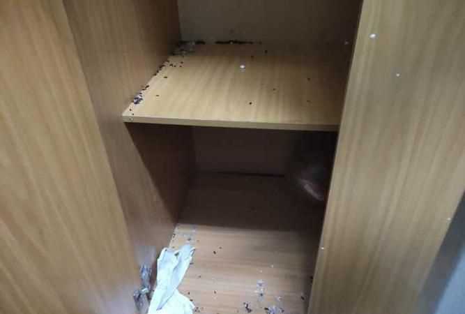 寢室有老鼠爬到你床上來怎么辦