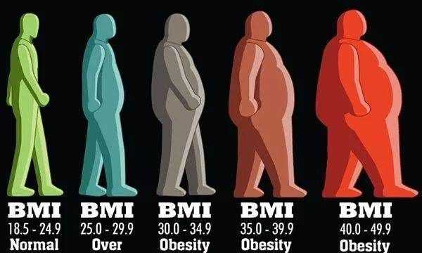 體脂怎么測比較準(zhǔn),怎么才能測體脂率圖5