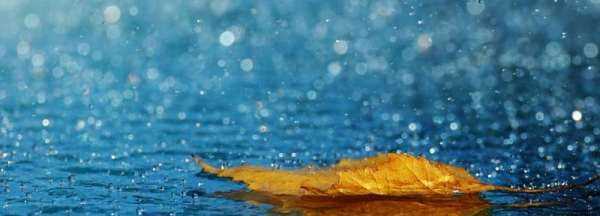 雨的種類英語(yǔ),雨的種類圖1