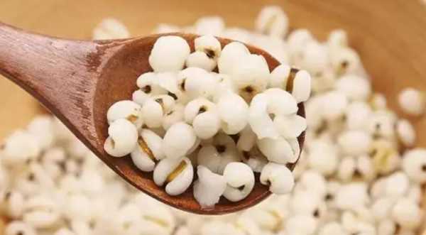 薏米要泡多久才能煮,薏米要泡多久才能煮粥圖2