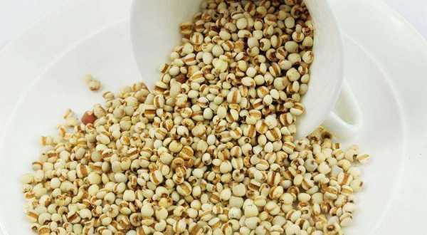 薏米要泡多久才能煮,薏米要泡多久才能煮粥圖4