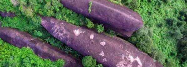 三鯨石是什么,三鯨巖怎么形成的圖1