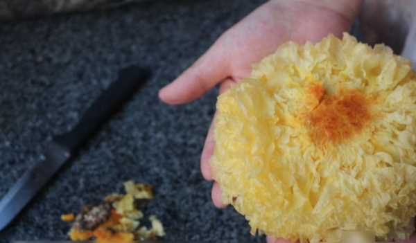 雪耳要浸泡多長時間,銀耳熬之前要泡多長時間圖5