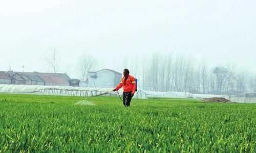 谷雨是下雨好還是不下雨好，農(nóng)村俗語：“雨水落雨三大碗，大河小河都要滿”，雨水下雨好不好？圖3