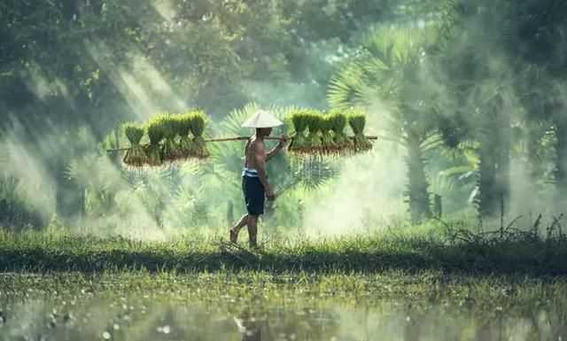 谷雨是下雨好還是不下雨好，農(nóng)村俗語：“雨水落雨三大碗，大河小河都要滿”，雨水下雨好不好？圖6