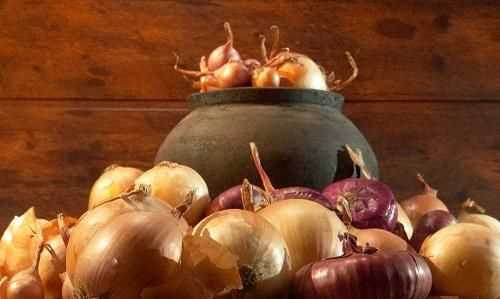 ，洋蔥能除甲醛嗎