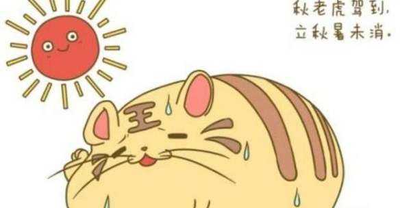 立秋還有公母之分,公秋扇子丟誰說的圖4