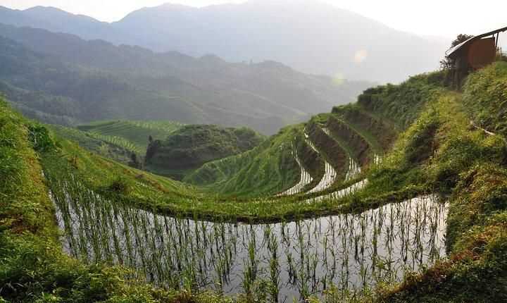 什么是開龍脊梗