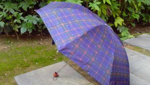 傘有哪些,傘有哪幾種類型圖2