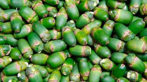 口味王檳榔有酒精嗎