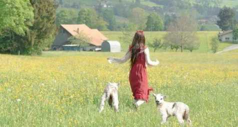 打春和立春有什么區(qū)別,立春和打春詞語哪個好一點圖4