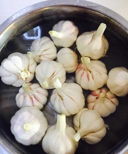 糖蒜可以放冷凍里嗎