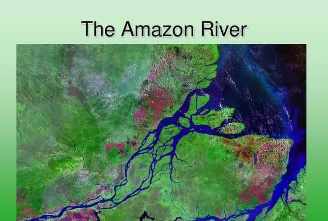 亞馬孫和亞馬遜一樣嗎