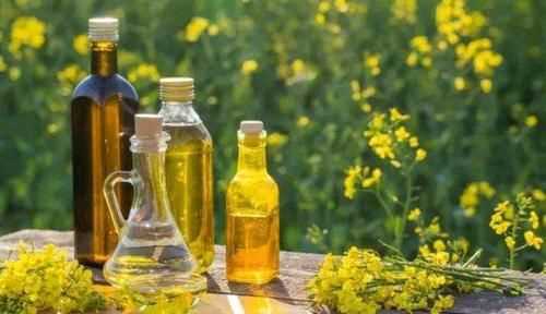 我國健康成人每人每天適宜的烹調(diào)油攝入量為多少克?