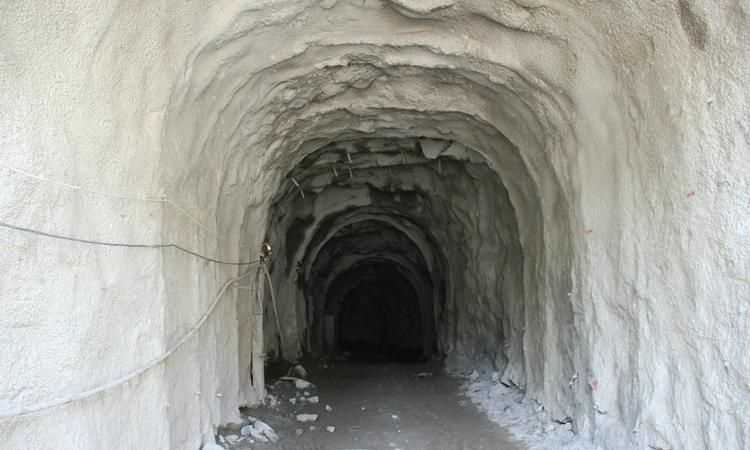 記金華的雙龍洞作者重點寫了什么特點