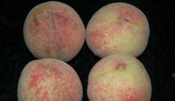 什么可以清除桃子表面的細(xì)毛,桃子去毛怎么洗干凈圖2