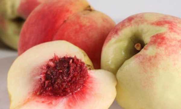 什么可以清除桃子表面的細(xì)毛,桃子去毛怎么洗干凈圖13