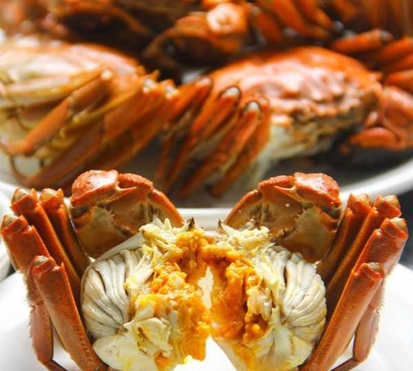 吃大閘蟹的季節(jié)是幾月,大閘蟹的季節(jié)是幾月圖3