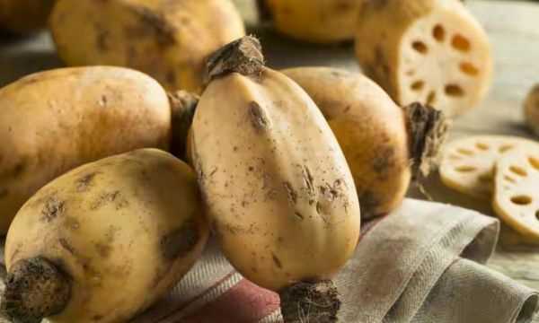 藕有幾個孔的區(qū)別,買藕時注意什么圖3