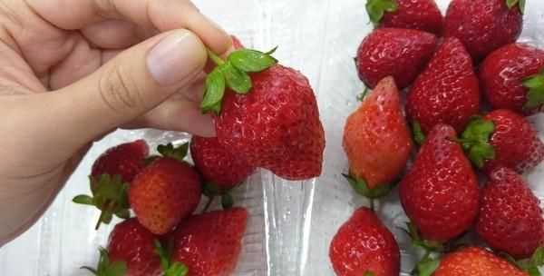 草莓長毛了旁邊的還能吃嗎