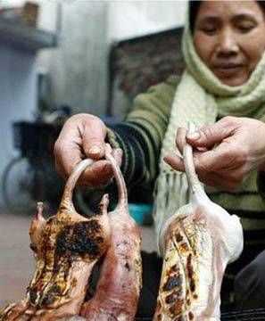 老鼠肉可以吃么