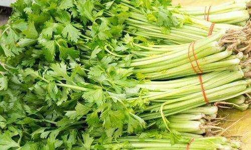 芹菜葉子怎么做好吃,芹菜葉怎么吃圖3