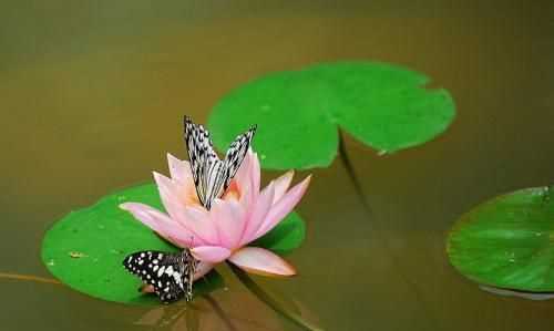 西安太平國(guó)家森林公園有什么好玩的東西嗎