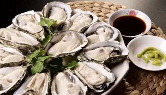 生蠔的屎在哪個部位,生蠔的眼睛長在哪里圖2