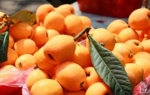 春天有哪些水果,春天吃的水果有哪些圖5