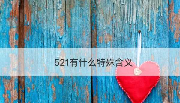 52的真正含義,51代表什么愛(ài)情含義圖3