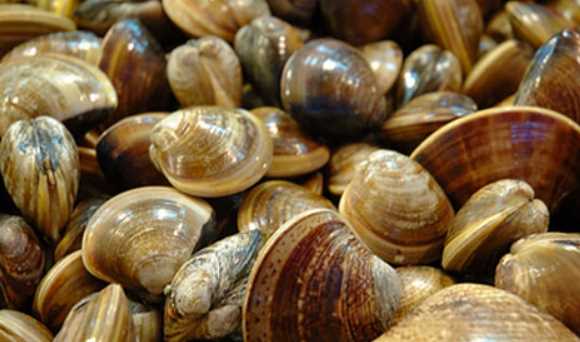 淮安特產(chǎn)廣告詞50字,淮安特產(chǎn)有哪些圖3