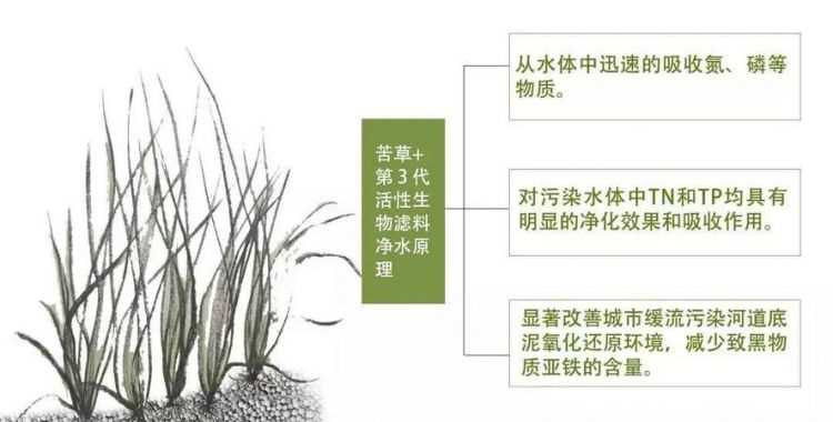 濕地對(duì)水庫(kù)的作用