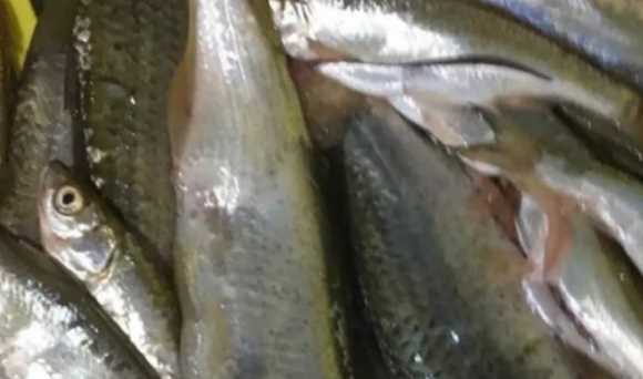 淮安特產(chǎn)廣告詞50字,淮安特產(chǎn)有哪些圖9