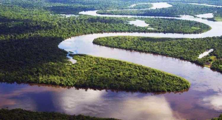 亞馬遜河最窄處僅12公里，為何不在上面修橋