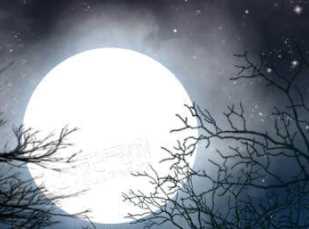 七月十五中元節(jié)是什么意思,什么是中元節(jié)是什么意思圖4