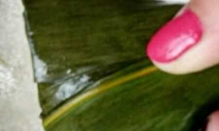 蜜棗粽子的做法，蜜棗粽子的做法和包法？圖15