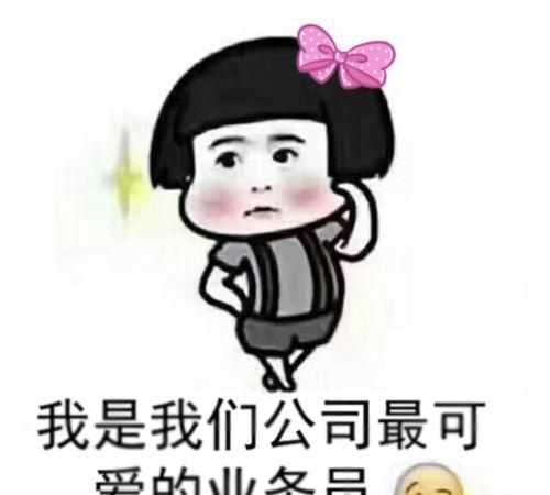 業(yè)務(wù)員是做什么的