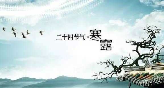 9月9日是重陽節(jié)還是九月初九是重陽節(jié)