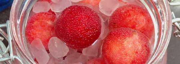 自制冰糖楊梅可以保存多久,自制冰糖楊梅可以保存多久吃圖3