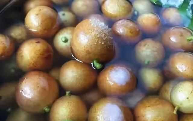 黃皮怎么保鮮，石黃皮怎么保存？圖3