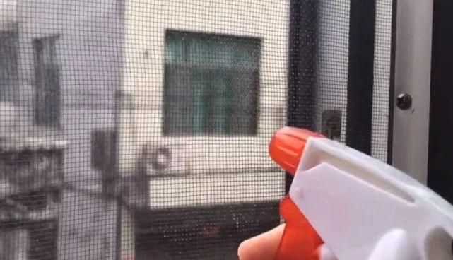 紗窗的柳絮怎么清理